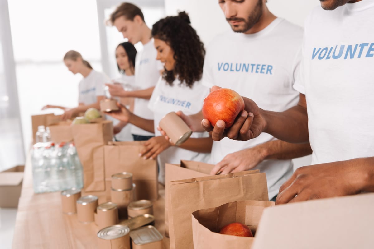 Volunteer Experience
