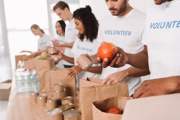 Volunteer Experience